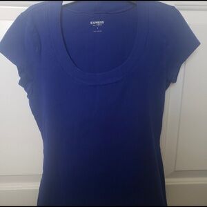 Express Top Stretchy Blue Short Sleeve